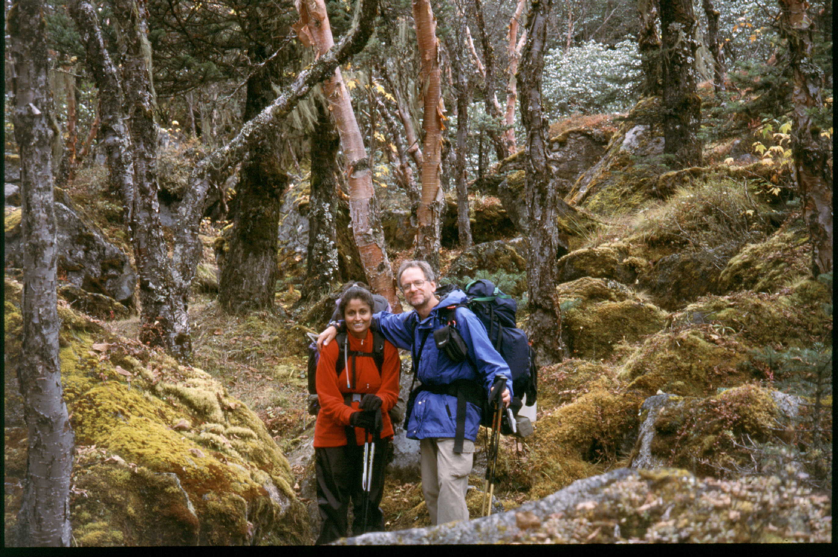 Bin02S14 - Forest - Lisa & Jerry.jpg